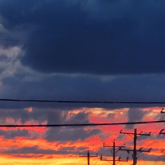 Meet your Posher, Leslie - Picture 1 of 1